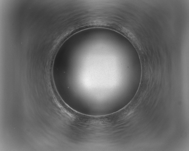 X0000071780625200607071430