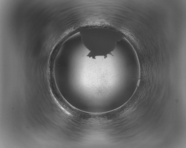 X0000071780630200607071430