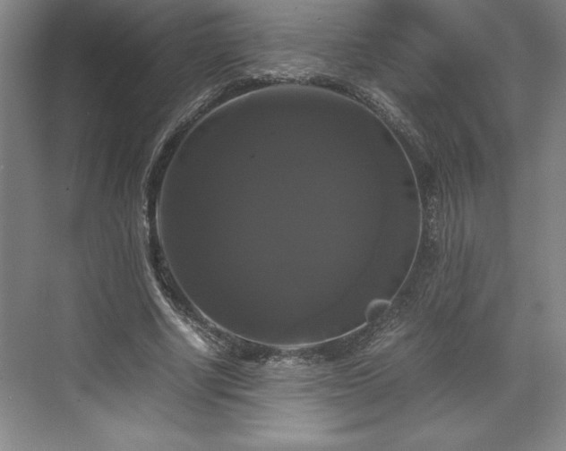 X0000071780634200607071431