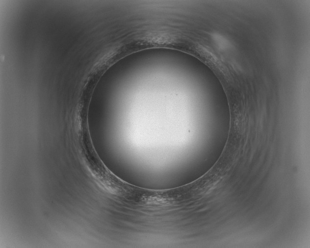 X0000071780635200607071431