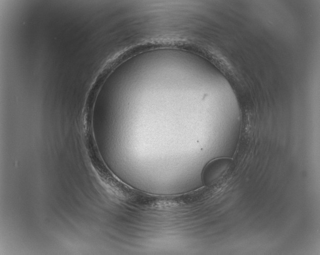 X0000071780636200607071431