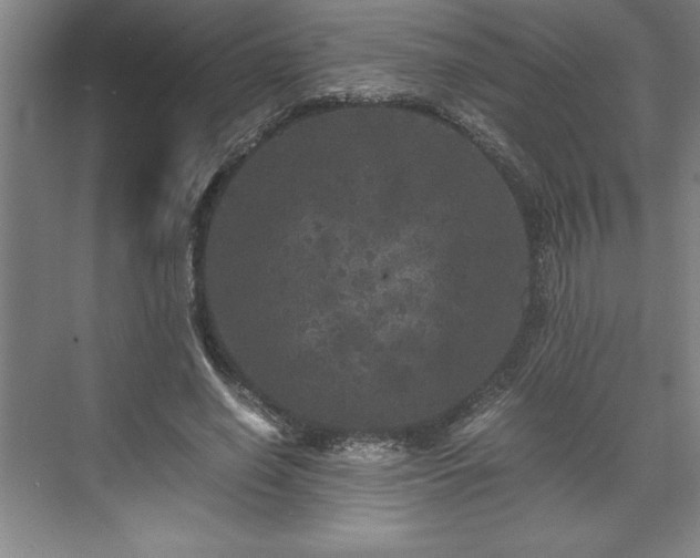 X0000071780638200607071431