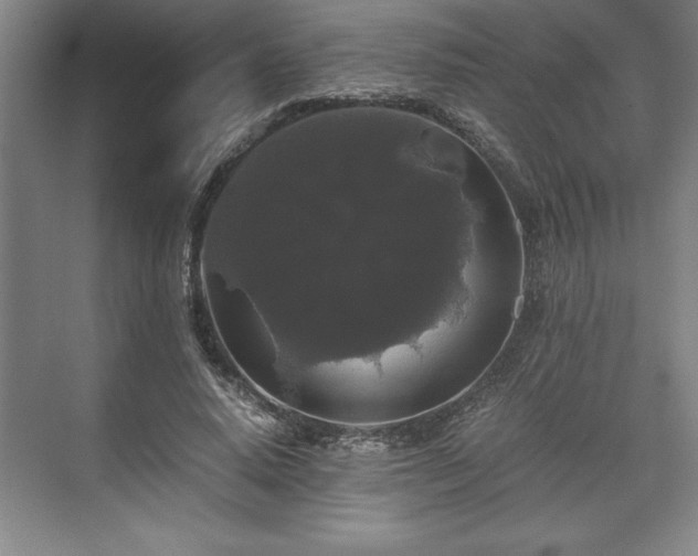 X0000071780640200607071431