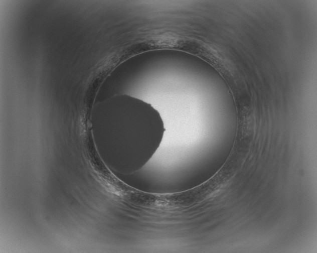 X0000071780641200607071431