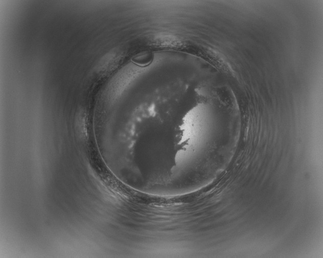 X0000071780643200607071431