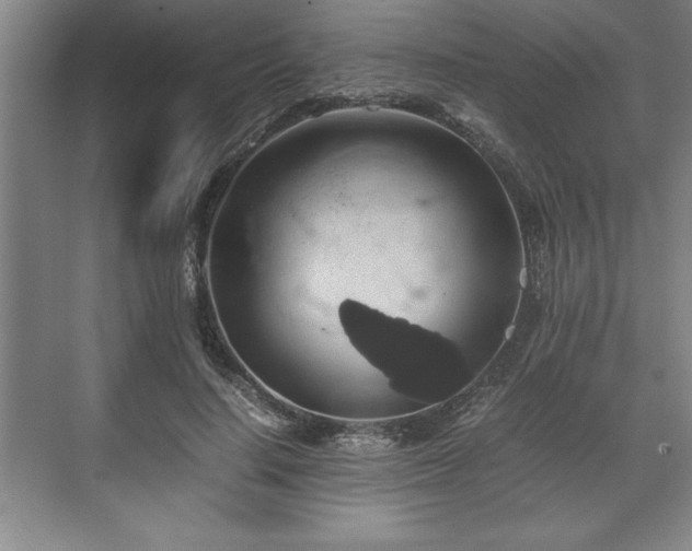 X0000071780644200607071431