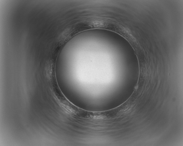 X0000071780645200607071431