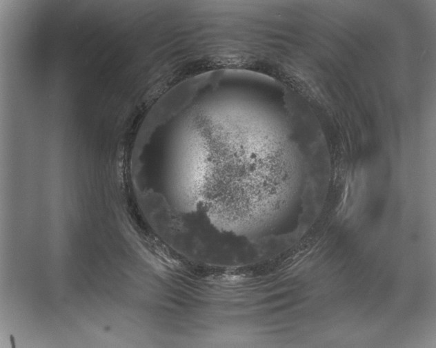 X0000071780647200607071431