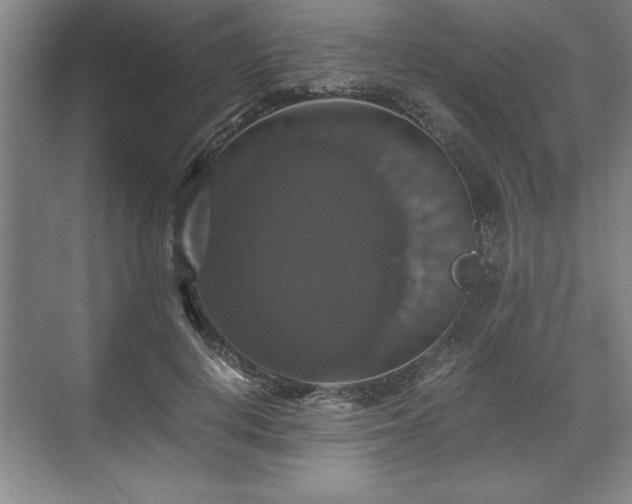 X0000071780648200607071431