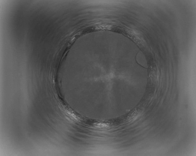 X0000071780649200607071431