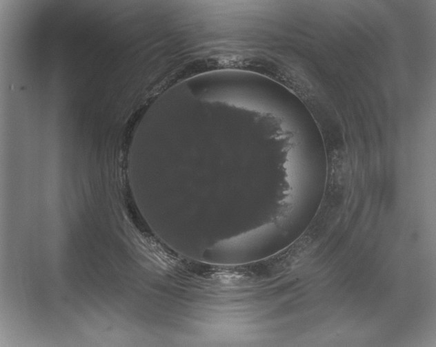 X0000071780650200607071431