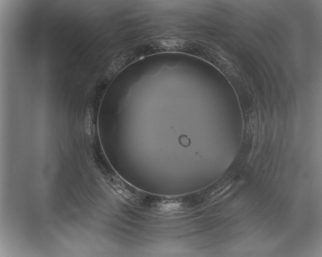 X0000071780651200607071431