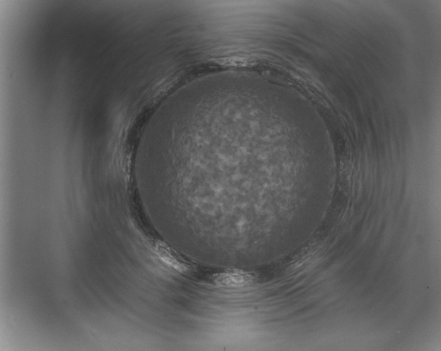 X0000071780652200607071431