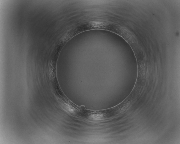 X0000071780653200607071431