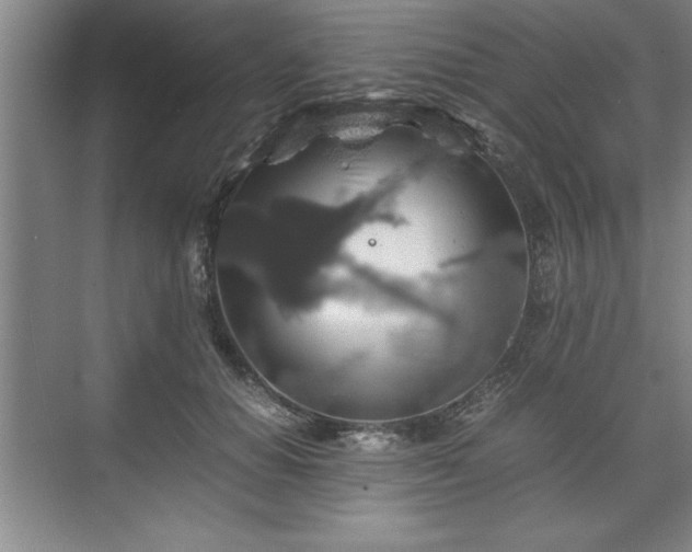 X0000071780654200607071431