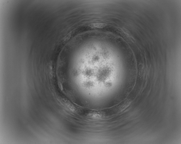 X0000071780655200607071431