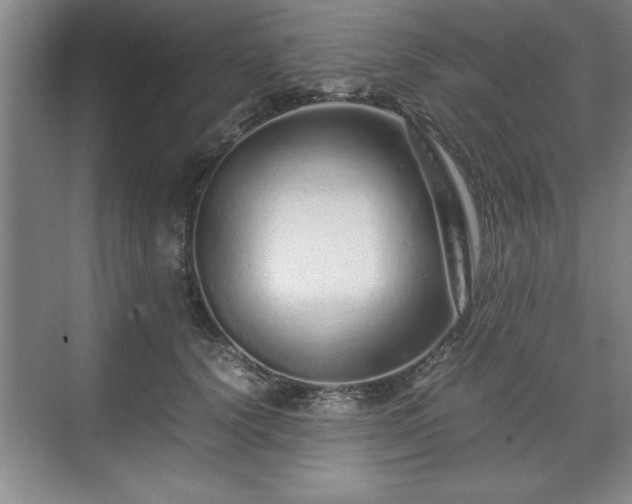 X0000071780656200607071431