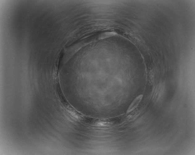 X0000071780657200607071431