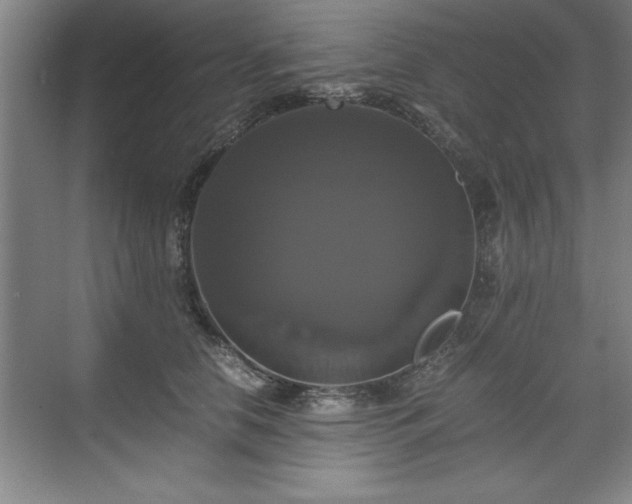 X0000071780658200607071431