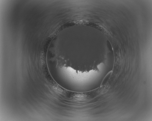 X0000071780659200607071431