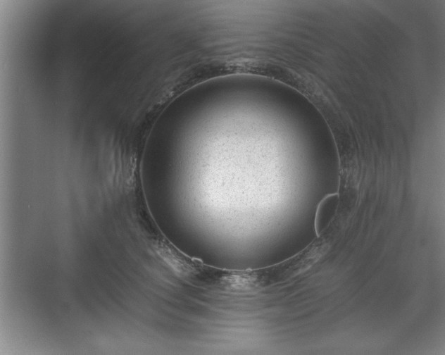 X0000071780660200607071431