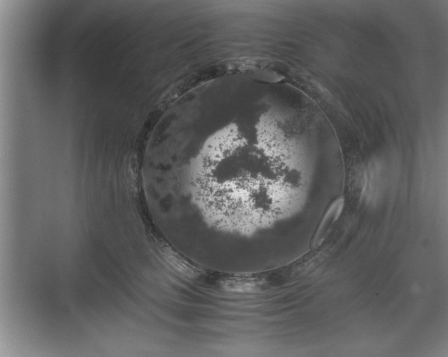 X0000071780661200607071431