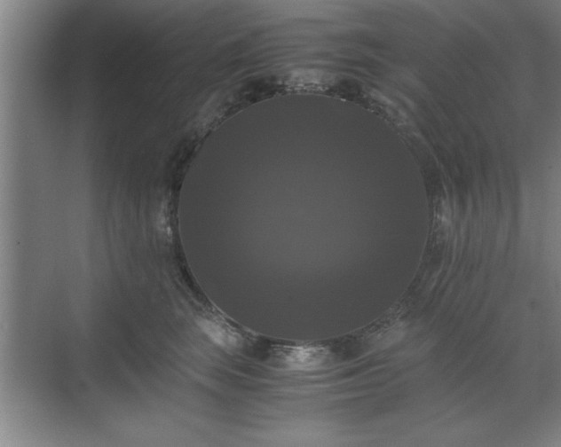 X0000071780663200607071431