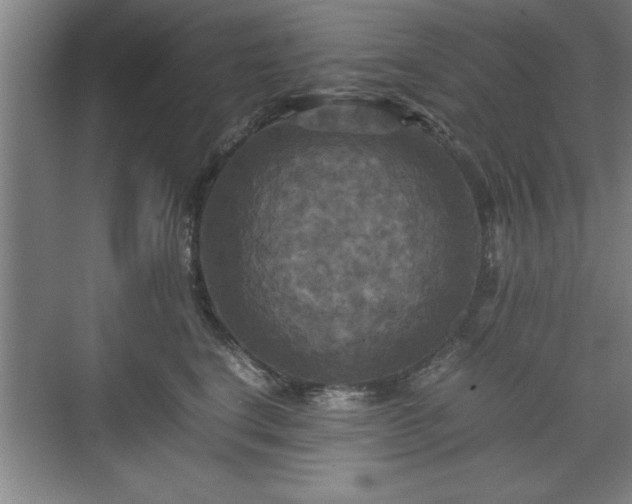 X0000071780664200607071431