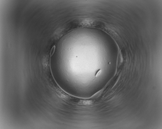 X0000071780665200607071431