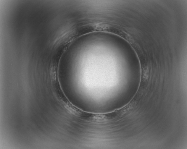 X0000071780666200607071431