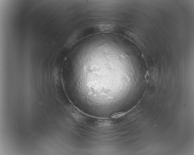 X0000071780667200607071431