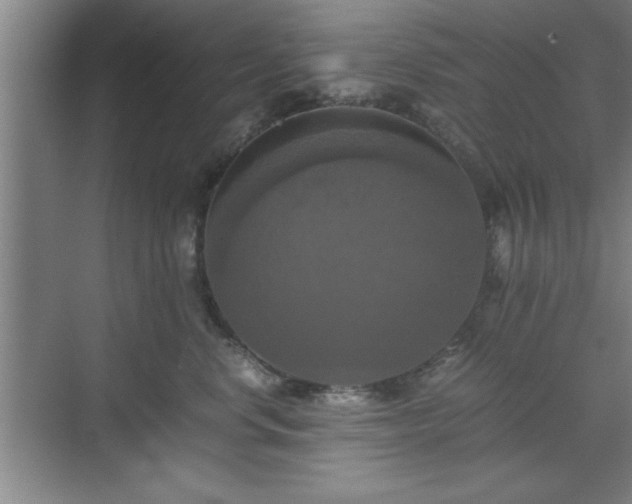 X0000071780668200607071431