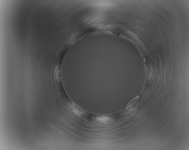 X0000071780669200607071431