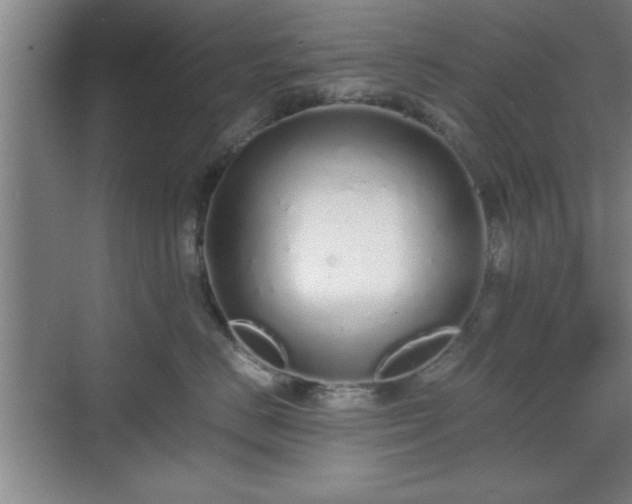 X0000071780670200607071431