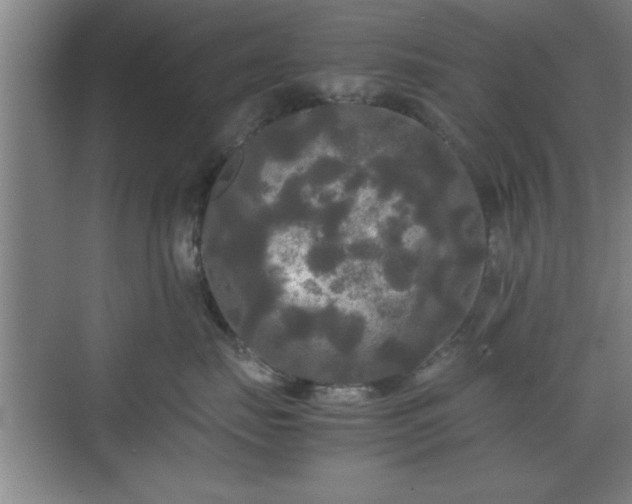 X0000071780671200607071431