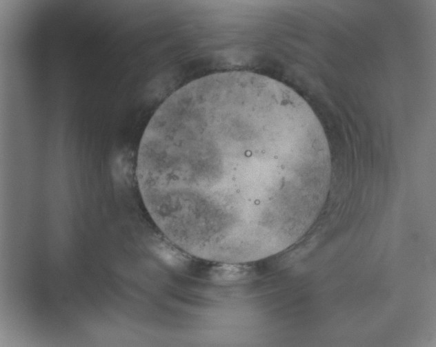 X0000071780672200607071431