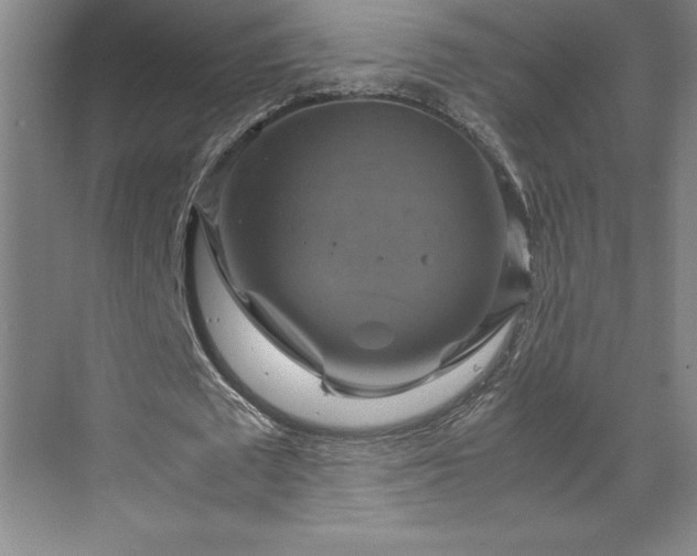 X0000071780673200607071430