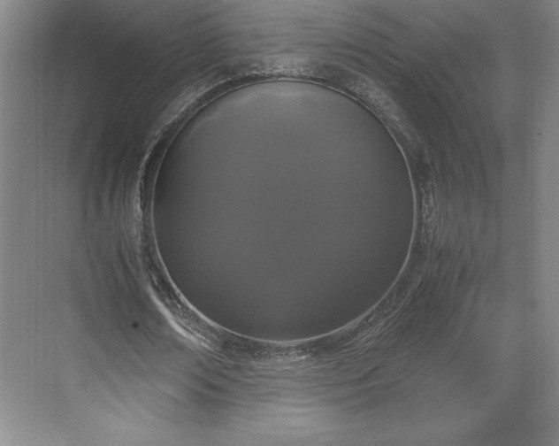 X0000071780674200607071430