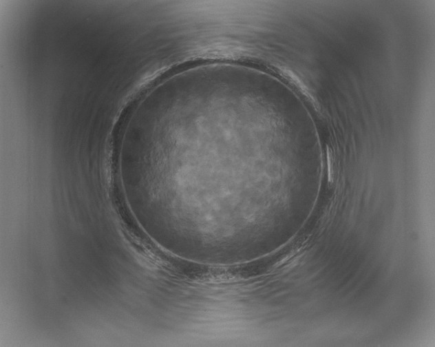 X0000071780675200607071430