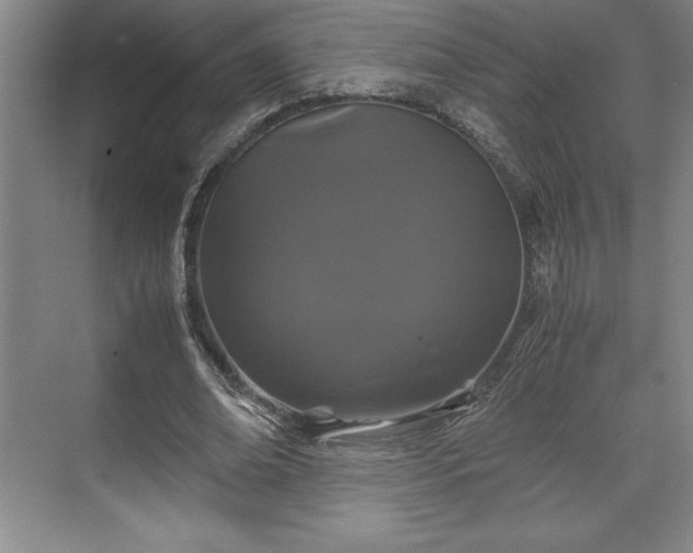 X0000071780678200607071430