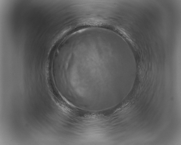 X0000071780679200607071430