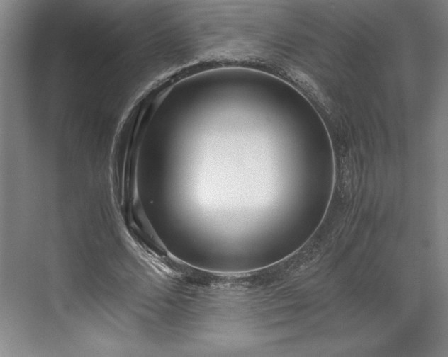 X0000071780680200607071430