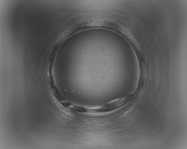 X0000071780681200607071430