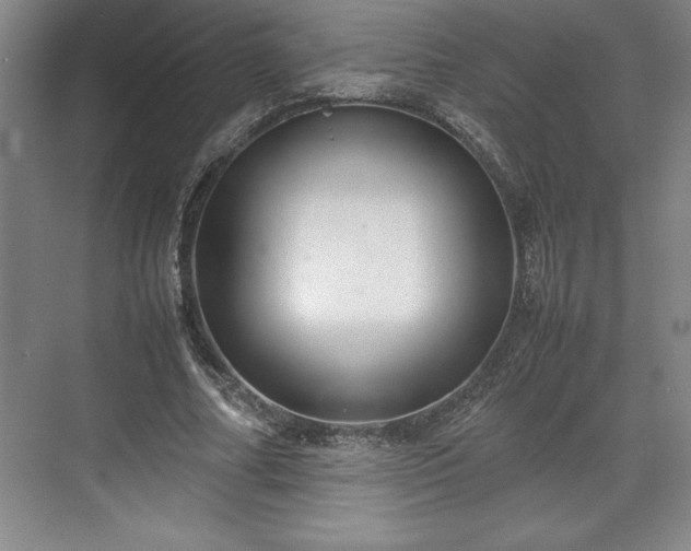 X0000071780682200607071430