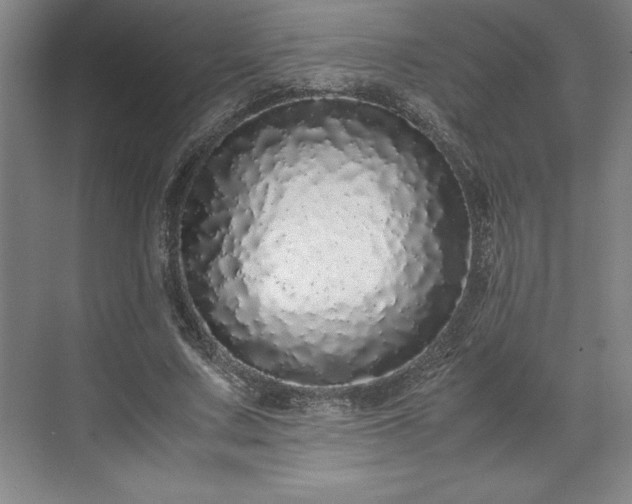 X0000071780683200607071430