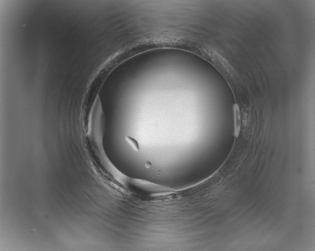 X0000071780684200607071430