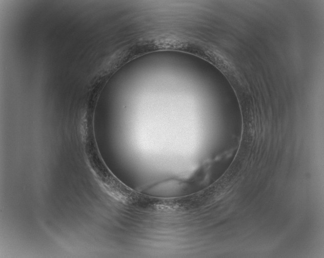 X0000071780690200607071430