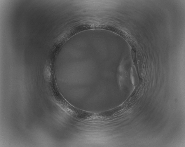 X0000071780691200607071430