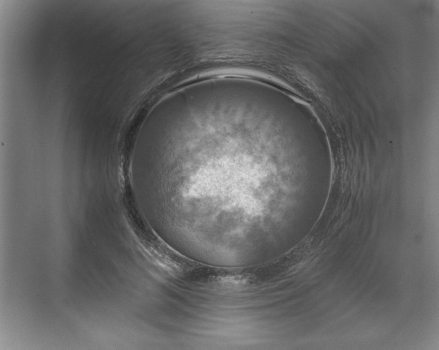 X0000071780692200607071430