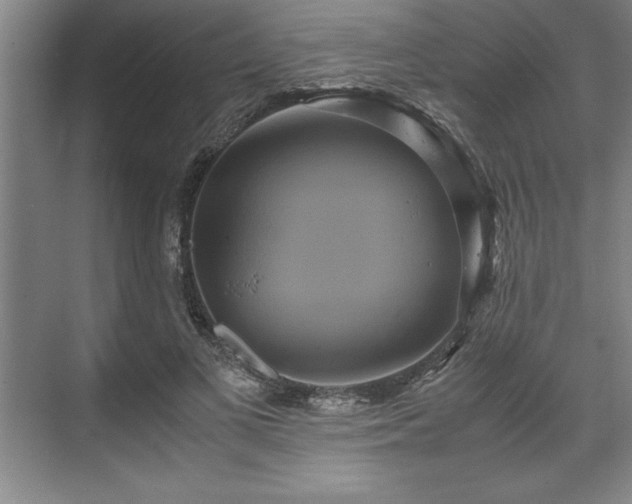 X0000071780693200607071430